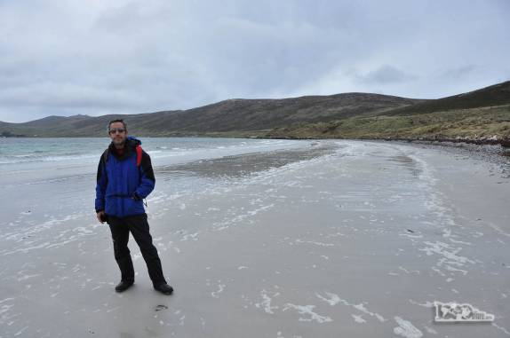 A praia de Dyke Bay, em Carcass Island, no noroeste das Ilhas Malvinas